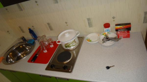 Apartment Novokosyno, Balashikha Balashikha